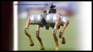 IPL 2025 का अनोखा रोबो डॉग जानिए इसकी खासियत